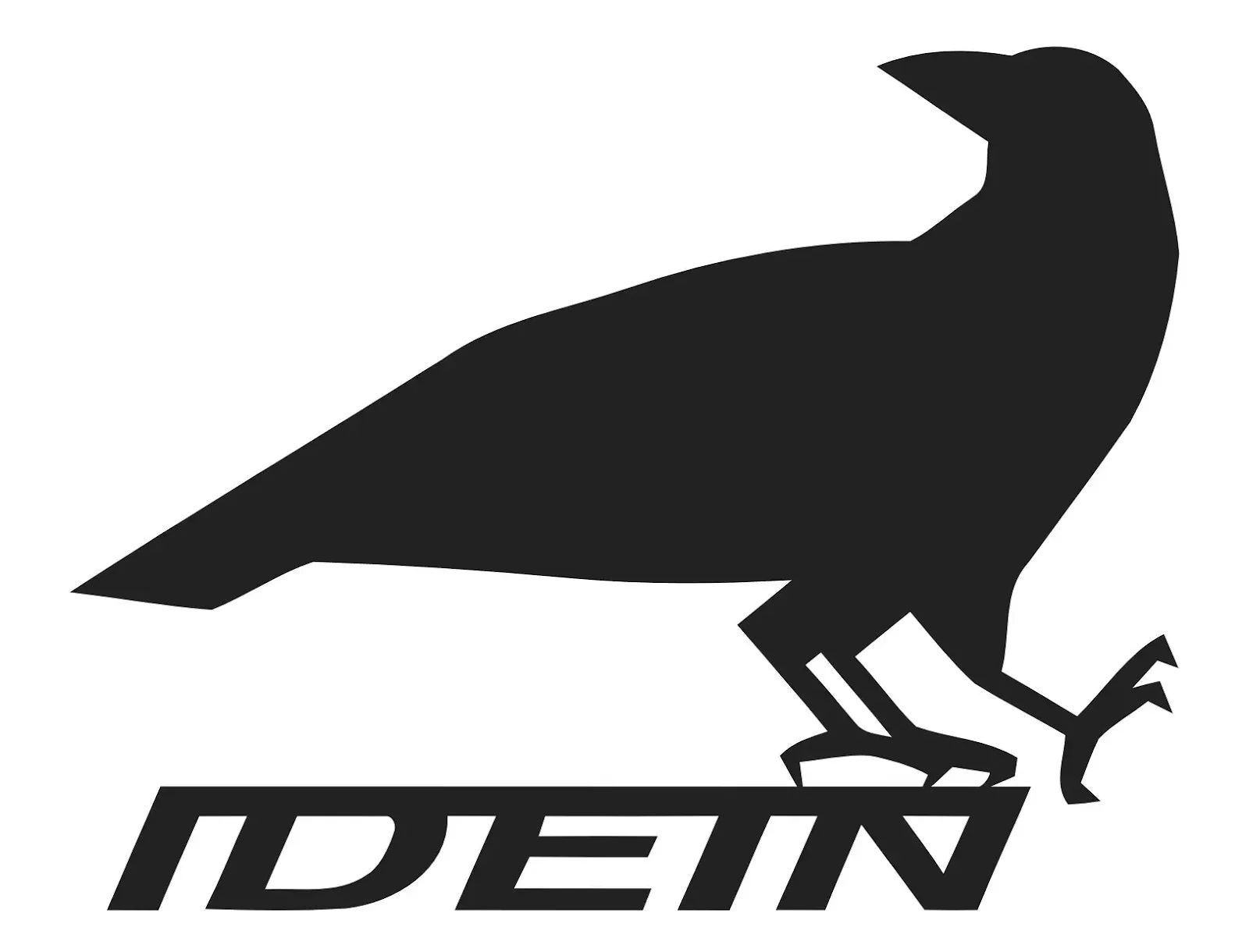 IDEIN
