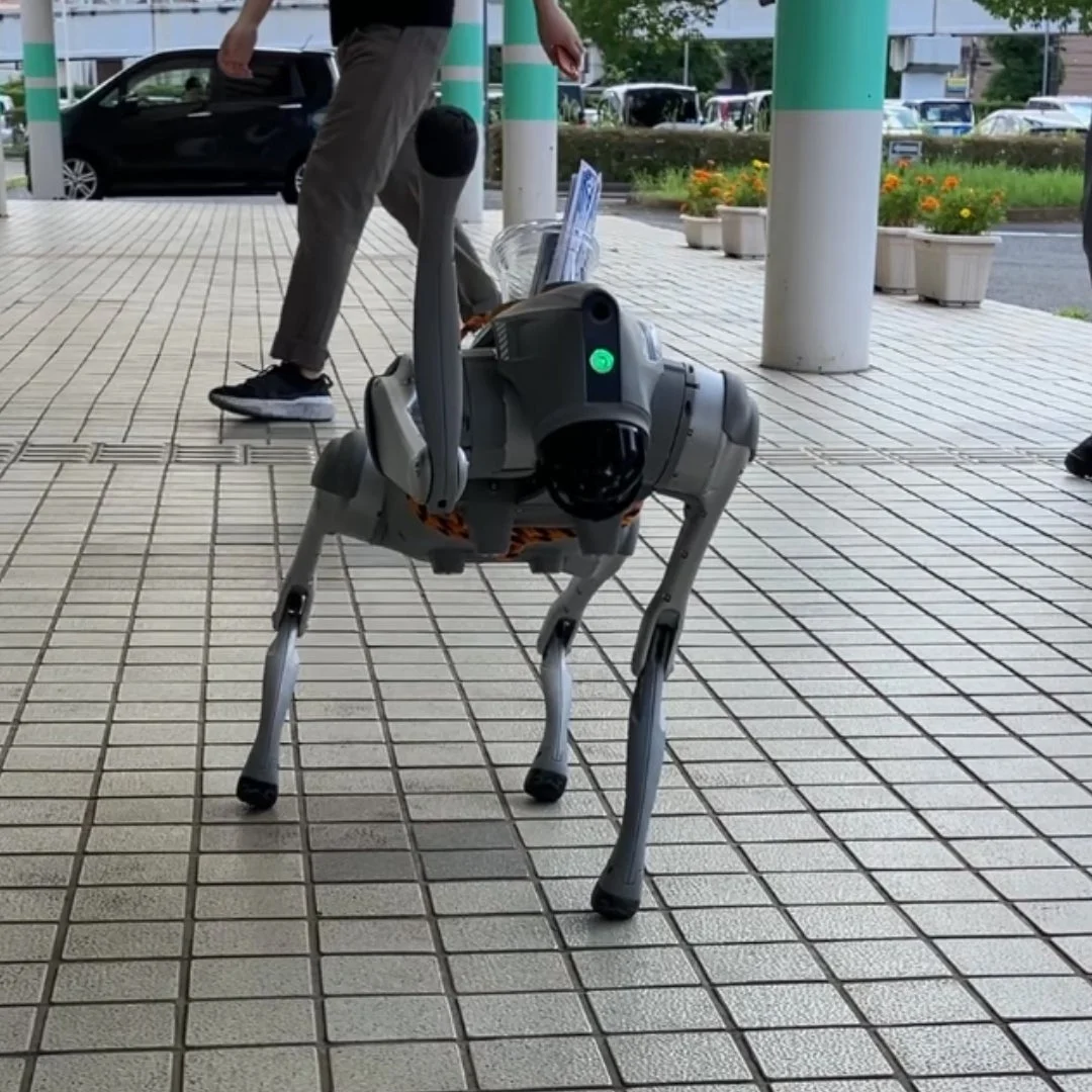 屋外を歩く犬型ロボット