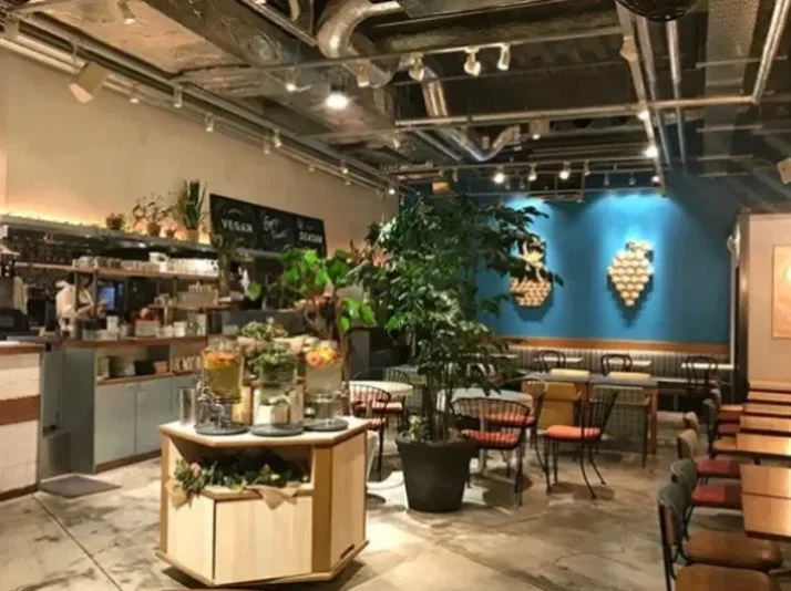 観葉植物が多く配置されたモダンなカフェの店内