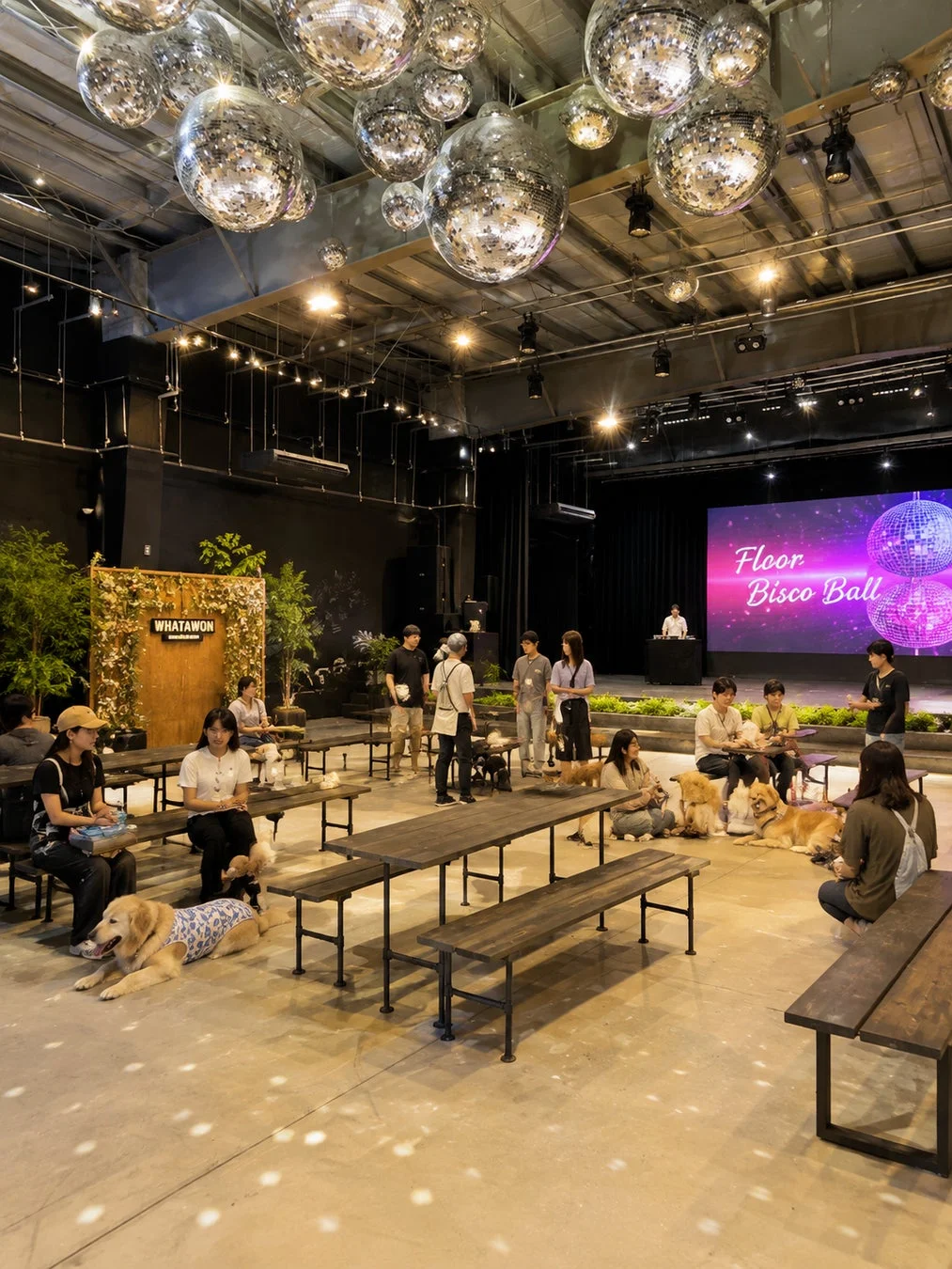ディスコボールが輝くWHATAWONの屋内イベントスペース