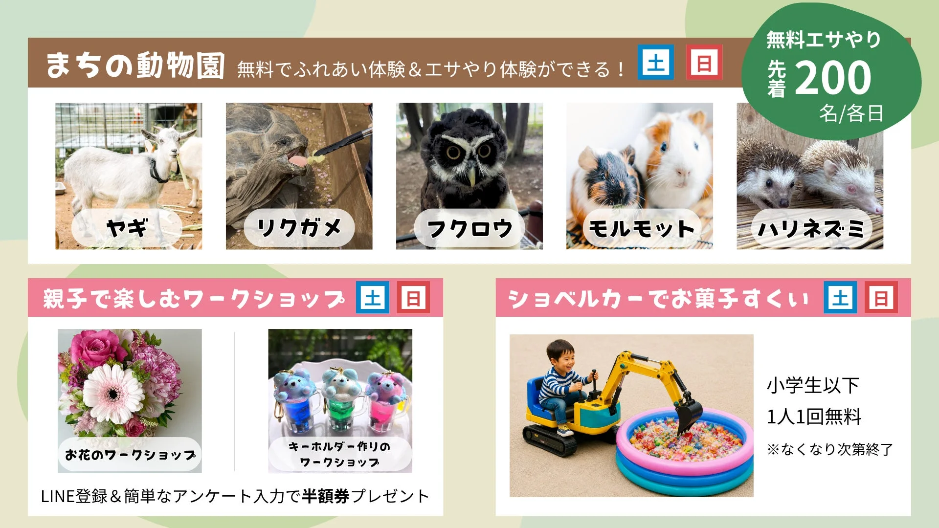 ふれあい動物園とワークショップ