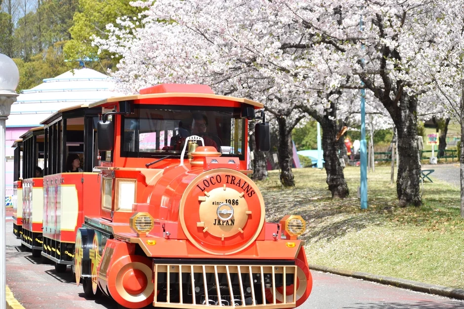 満開の桜並木の下を走る赤いミニ列車