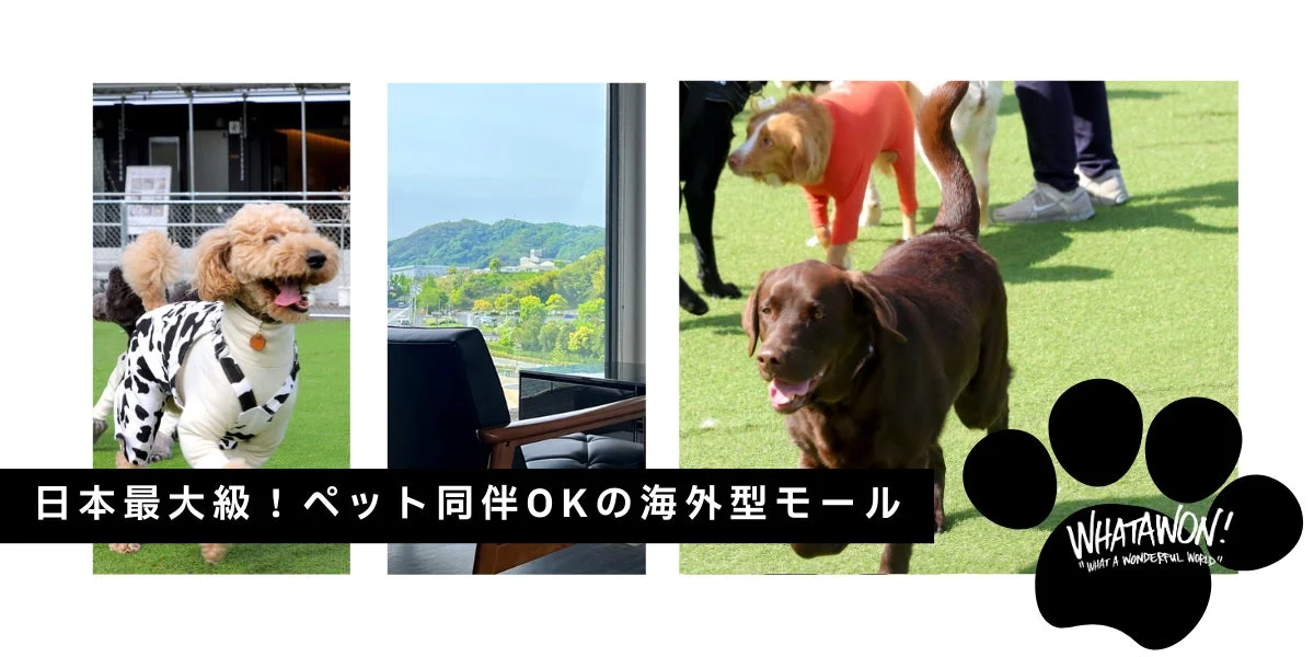 WHATAWONのペット同伴可能な広々とした施設